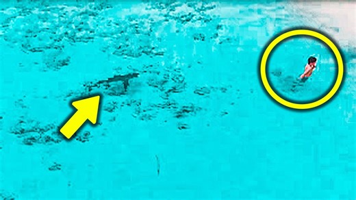 A Guy Was Flying His Drone Over The Ocean When The Footage Revealed Sharks Closing In On A Child