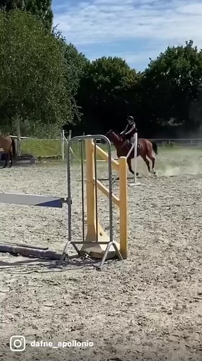 « Aline » 🦄❤️‍🔥 #horsesoftiktok #horse #jump #horsejumping #passion #cheval #equitation