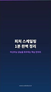 #Shorts 피처 스케일링 1분 완벽 정리