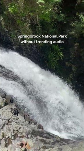 Goolmoolahra Falls Springbrook National Park ASMR