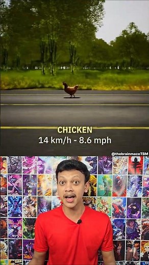 Human vs Animal Speed Comparison 🏃🐆