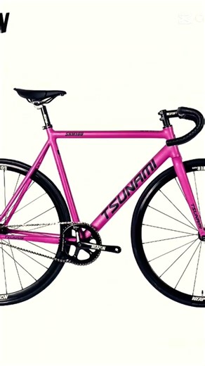 Garuda cyclone v2 fixie