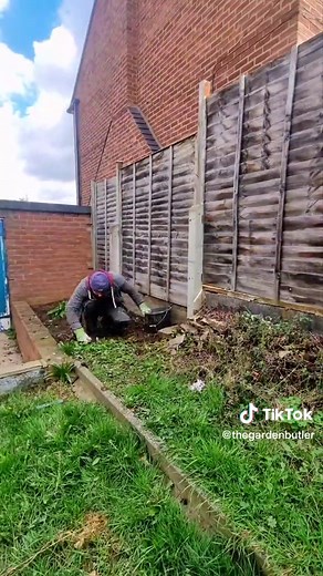 Tom Butler on TikTok