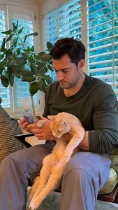 1.1M views · 90K reactions | Did you know cats can have asthma❓ My boy Willy has it and his medicated inhaler manages it really well fortunately. Just like other immune mediated diseases, there’s no cure but I’m thankful we have medications that can really help keep him comfortable  | Dr. Evan Antin | Facebook