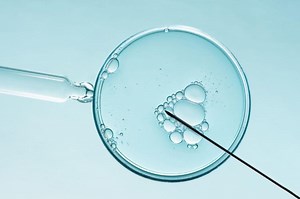 Antonio Pellicer (IVI): “Ecco dove siamo arrivati con l’ovodonazione”