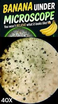 Microscope ke niche Kela = Unreal View 😍| Banana Cells Under Microscope (Mind Blowing) 🔬