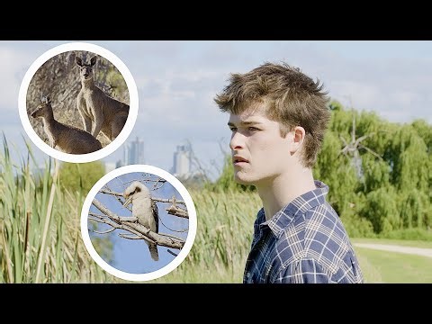 Exploring Australia’s Wildlife | A New Filmmaker’s Journey