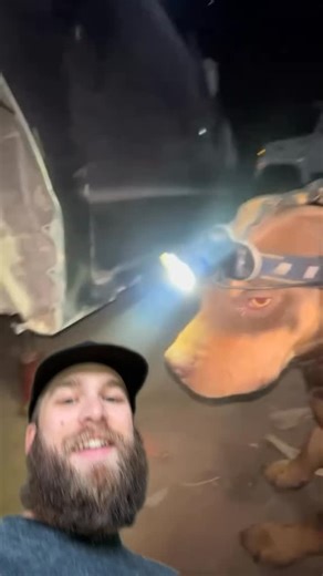 Tyler Wesley on Instagram: "Best apprentice ever #jeeplife #offroad #jeepwrangler #4x4 #cars #car #ford #offroading #shorts"