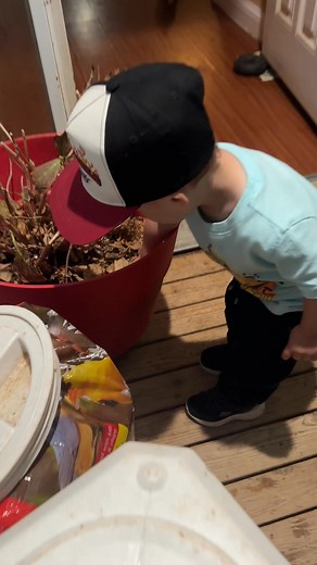 Theo’s frog adventure, takes a leap for the great indoors. | The Adventures of Theodore Scott