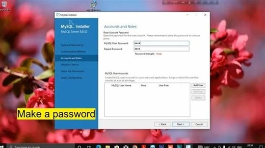 How to install My Sql Server installer | my sql server setup