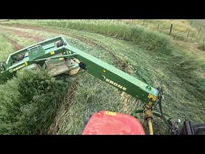 cutting oats for hay