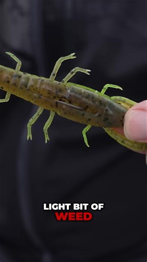 69K views · 459 reactions | Get ready to conquer those snaggy fishing spots this autumn with our ultimate weedless presentation! Cast critters with confidence 咽 | Fox Rage | Facebook