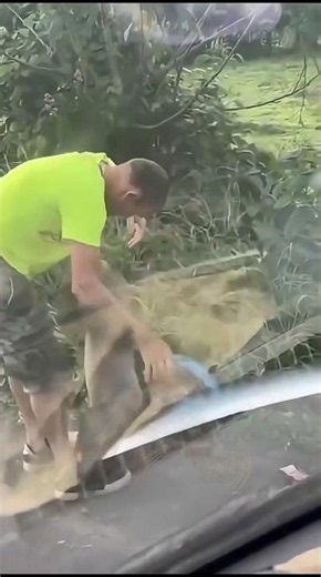 helping 🦥 gone wild