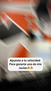 33 reactions · 54 shares | Si eres Rapido en 100 metrosApuesta y compite conmigo para tener la oportunidad de ganarte una de mis Jaulas﫡 #sprint #100meter #running #nikonphotography #viralchallenge | Vikingo Ceo Javier Perez | Facebook
