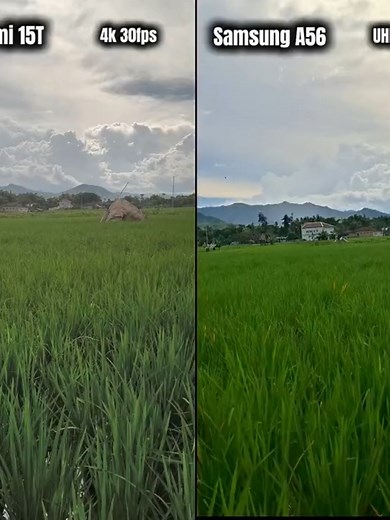 4K Comparison: Samsung A56 vs Xiaomi 15T Video Test