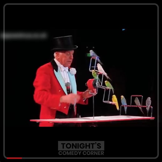 Norman Barrett MBE’s Incredible Budgie Act at Zippos Circus 🤩🐦 - #noramnbarrettmbe #zippocircus #comedy #funny | Tonight's Comedy Corner