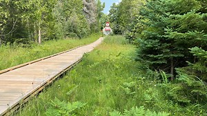 The Ridges Sanctuary to improve rare iris habitat through federal grant