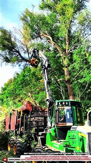Best Innovative Forestry Machine for Efficient Tree Harvesting