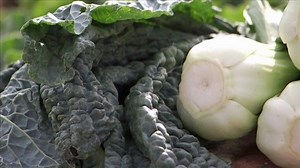 Bountiful Brassicas - Gardening Australia