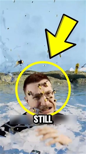 Never Jump in Water During a Bee Attack 🐝