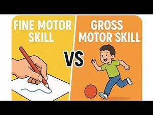 Gross vs. Fine Motor skills[Boost Your Child's Motor Skills] Easy Activities for Kindergarten