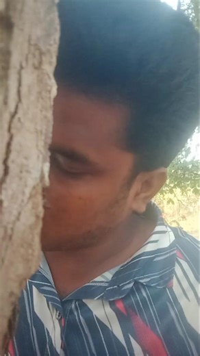 kavala padha sagothara#tamilhit#tamilsong#tamilmusic$love$music$song