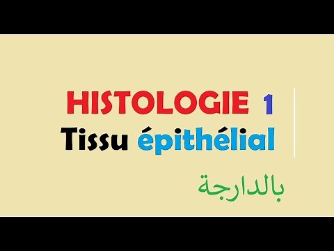 cours HISTOLOGIE Ep 1 : Tissu épithélial