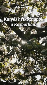 49K views · 299 reactions | Pihenj a természet ölelésében, távol a...