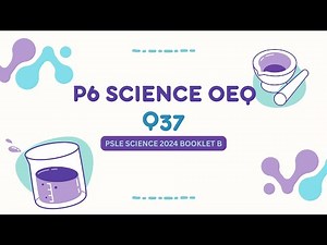 PSLE SCIENCE | EP28 | P5 Matter & Water | Temperature Line to Determine State | PSLE 2024 OEQ Q37