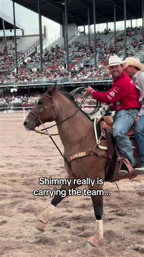 Shimmy Leads the Team in Semifinals Performance