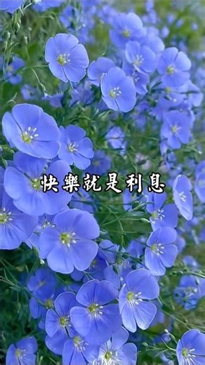 早安！清晨迎希望，每天迎安康。 #早安祝福 #每日祝福 #Shorts #早安 #GoodMorning #早安圖 #早安問候 #正能量