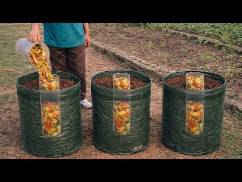 Unlimited Fertilizer Forever? The "Self-Feeding" Method for 10x Growth ( No Cost, No Composting)