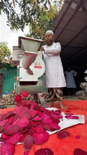 How beetroot is being cut using an automatic machine!!! #farming #agriculture #কৃষি #beetroot