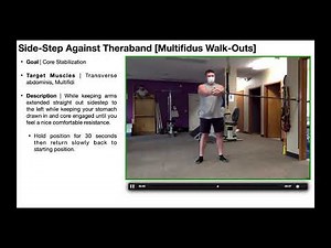 Core Stabilization | Theraband Side-Steps & Pallof Presses