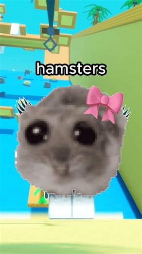 Fact about Hamsters, everybody should know🤗 #roblox #rblx #funny #fact