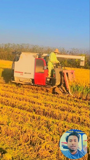 Yanmar mini combine harvester 🚜 #yanmar #combineharvester #fypシ #machine #agriculturemachinery #harvester #agriculture #farmer #farmlife | 𝘽𝙡𝙪𝙚 𝘾𝙝𝙚𝙢𝙥