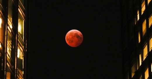 Look up: Blood Moon visible in Arizona early Tuesday morning