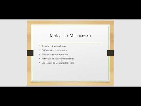 How Bacteria Communicate (QS & Biofilms Explained)