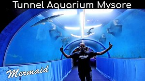 1K views · 21 reactions | India’s 1st Mobile Tunnel Aquarium Mermaid...