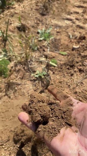 Do this first when developing land. Perc Test!