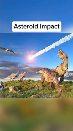 How Animals Became Extinct 🤯