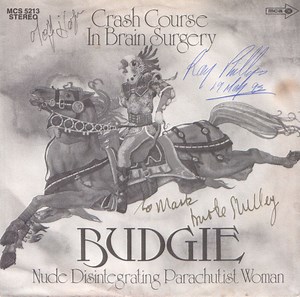 Budgie - Crash Course In Brain Surgery