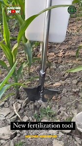 62K views · 1.3K reactions | Introducing the latest innovation in...