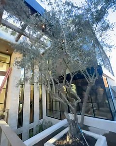 Mega Mansions on Instagram: "Welcome to “SERENITY” an exceptional off-market opportunity in Beverly Hills that is currently under construction. This long-awaited sanctuary has been masterfully designed and developed by the renowned @ramtin_ray_nosrati . This distinguished estate, is available exclusively to a select group of discerning buyers and available now for private off-market showings. Spanning 1.2 acres and offering breathtaking city and ocean vistas from every level, this approximately 