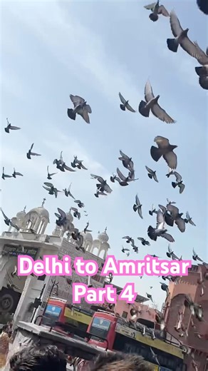 Ep4 Delhi-Amritsar #nishthaazad #viral #trending #amritsar #delhi #goldentemple #streetfood #famous