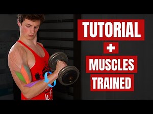 How To: Zottman Curl For MASSIVE Arms! (& Which Muscles You're Using!!)
