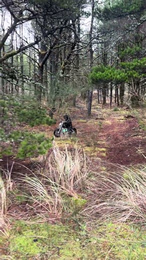 Testing the M5 Teen Motorcycle Motorbikeon a Scenic Park Mountain Road