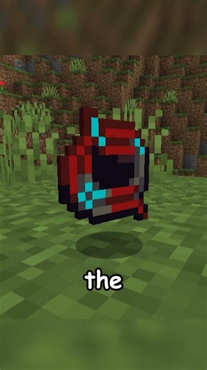 MINECRAFT'S THROWABLE ROPE!!!
