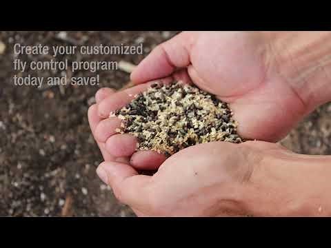 Natural fly control using Fly Eliminators from ARBICO Organics