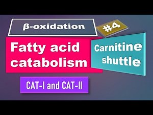 Carnitine shuttle: Fatty acid oxidation: Part 4: biochemistry